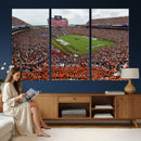 Jordan-Hare Stadium Wall Art Canvas Print, College Sports