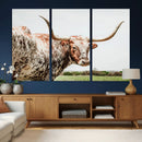 Texas Catle Longhorn Wall Art Canvas Print for Farmhouse by MyGreatCanvas | Canvas Wall Art Prints | Photo Prints & Wall Decor
