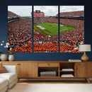 Auburn Stadium Wall Art Canvas Print, Jordan Hare Stadium by MyGreatCanvas | Canvas Wall Art Prints | Photo Prints & Wall Decor