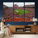 Auburn Stadium Wall Art Canvas Print, Jordan Hare Stadium