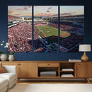 Ole Miss Rebels Vaught Hemingway Stadium Wall Art Canvas by MyGreatCanvas | Canvas Wall Art Prints | Photo Prints & Wall Decor