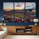 Donald W. Reynolds Razorback Stadium Wall Art Canvas Print – by MyGreatCanvas | Canvas Wall Art Prints | Photo Prints & Wall Decor