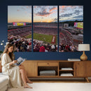 Donald W. Reynolds Razorback Stadium Wall Art Canvas Print –