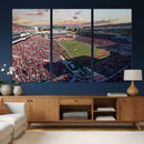 Donald W. Reynolds Razorback Stadium Wall Art Canvas Print – by MyGreatCanvas | Canvas Wall Art Prints | Photo Prints & Wall Decor