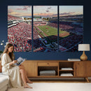 Donald W. Reynolds Razorback Stadium Wall Art Canvas Print –
