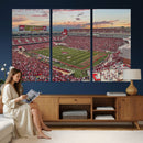 Donald W. Reynolds Razorback Stadium Wall Art Canvas Print –