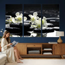 Plumeria Frangipani Black Stone Canvas | White Flower Spa by MyGreatCanvas | Canvas Wall Art Prints | Photo Prints & Wall Decor