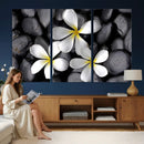 Plumeria Frangipani Black Stone Canvas | White Flower Spa by MyGreatCanvas | Canvas Wall Art Prints | Photo Prints & Wall Decor