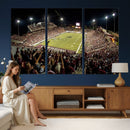 Washington-Grizzly Stadium Canvas Wall Art – Exciting Game