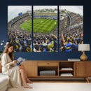 Boca Juniors Soccer Team Print Wall Art - Buenos Aires