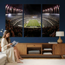 Eagles Field Stadium Wall Art - Philadelphia Eagles Football