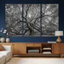 Majestic Angel Oak Tree Black and White Canvas Print – Multi by MyGreatCanvas | Canvas Wall Art Prints | Photo Prints & Wall Decor