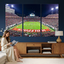 NC State Wolfpack Canvas Print - Raleigh Carter-Finley