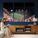 Houston Cougars Football Team Print - Houston TDECU Stadium