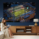 University of North Texas Mean Green Football Artwork,