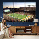 Darrell K Royal-Texas Memorial Stadium Canvas Wall Art -