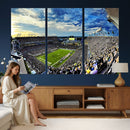 Framed USF Bulls Football Team Print - Tampa Raymond James