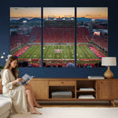 Arizona Wildcats Football Team Print - Tucson Arizona