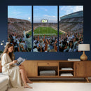 Michigan State Spartans Football Team Art Print - East