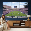 TCU Horned Frogs Football Team Print - Fort Worth Amon G.
