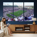 The Texas Christian University TCU Horned Frogs Football