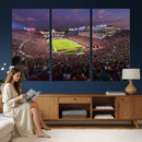 The University of Southern California USC Trojans Football
