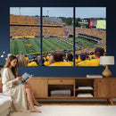 Puskar Stadium Canvas Print Wall Art - Morgantown Print -