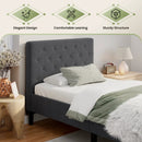Upholstered Bed Base with Button Stitched Headboard by DirectDeals