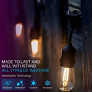 SL101 3000K Warm White LED Low Voltage Bistro String Lights 48 FT Outdoor Weatherproof 12V Edison Bulbs by Kings Outdoor Lighting