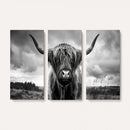 Scottish Cow Wall Art Canvas Print | Longhorn Wall Art |