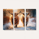 Scottish Highland Cow Horn Farm Wall Art Canvas Print