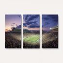 Notre Dame Fighting Irish Football Team Print - Notre Dame