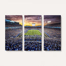 Kroger Field Wall Art Print - Kentucky Stadium Wall Art