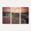 Indiana Memorial Stadium Wall Art Canvas Print, Framed