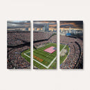 Chicago Bears Soldiers Field Wall Art Canvas Print – Framed