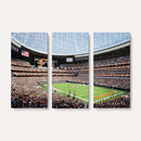 Chicago Bears Soldiers Field Wall Art Canvas Print – Framed
