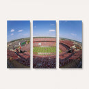 William Brice Stadium Wall Art Canvas Print – Stadium Crowd