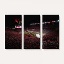 William Brice Stadium Wall Art Print – Baseball Game Room
