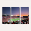 Dooley Stadium Wall Art, Sports Arena Canvas Print, Dooley