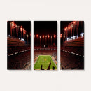 Tennessee Neyland Stadium Wall Art, Sports Arena Canvas