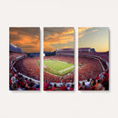 Dooley Stadium Wall Art, Sports Arena Canvas Print, Dooley