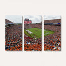 Jordan-Hare Stadium Wall Art Canvas Print, College Sports