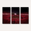 Sanford Stadium Wall Art Canvas Print – Georgia Bulldogs