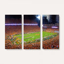 Clemson Football Stadium Wall Art Canvas Print, College