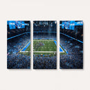 Detroit Lions Stadium Wall Art Canvas Print, Football Field