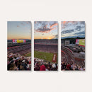 Donald W. Reynolds Razorback Stadium Wall Art Canvas Print –