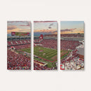 Donald W. Reynolds Razorback Stadium Wall Art Canvas Print –