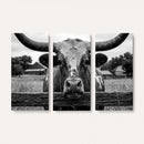 Black White Texas Longhorn Bull Canvas Wall Art, Western Ranch Cattle Photography Print, Rustic Farmhouse Cowboy Decor Artwork