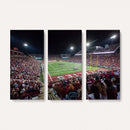 Mississippi State Bulldogs Stadium Wall Art Canvas Print –