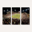 Washington-Grizzly Stadium Canvas Wall Art – Exciting Game